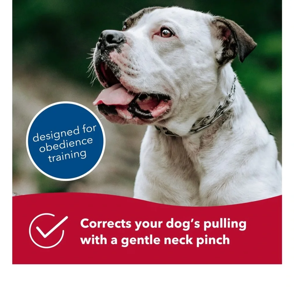 Sprenger Blunt Prong Dog Training Collar